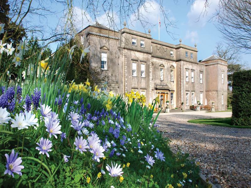 منزل الضيف رادستوك  في Ston Easton Park المظهر الخارجي الصورة